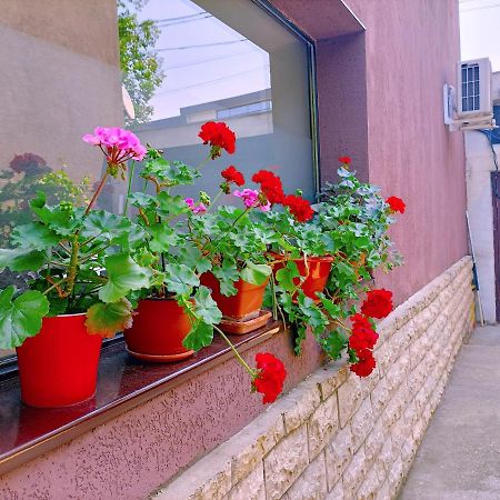 Luta Studio Bucureşti Eksteriør bilde